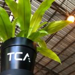 TCA POT 1
