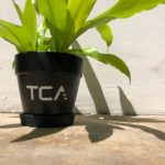 TCA POT 2